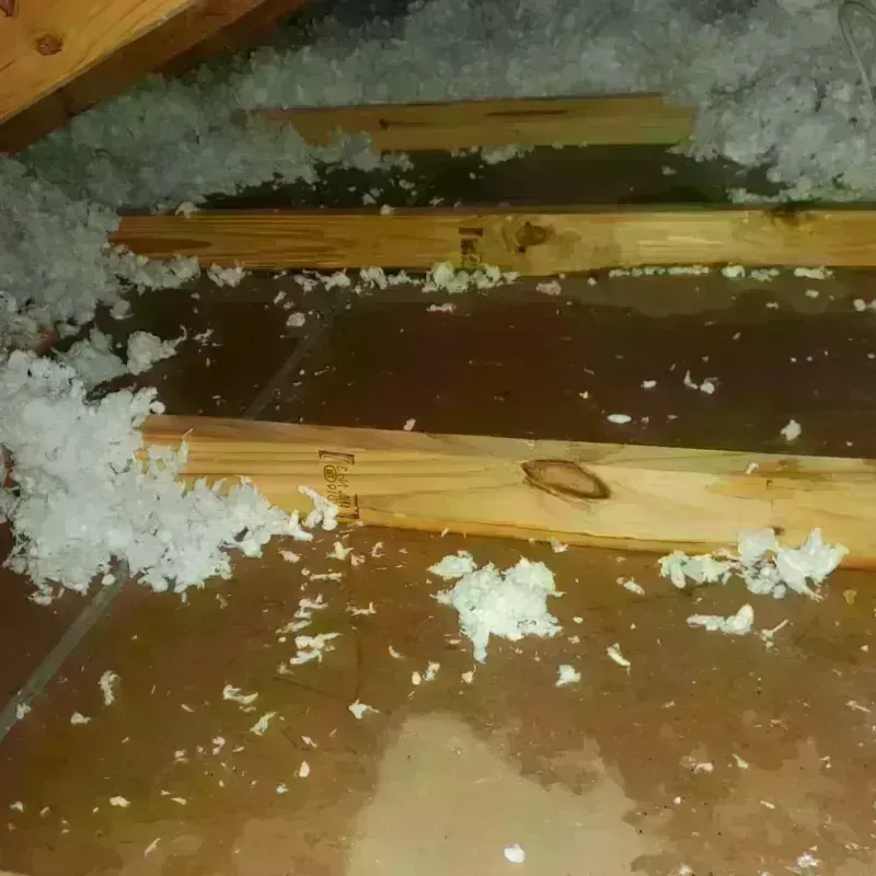 Attic Water Damage in East Hill-Meridian, WA